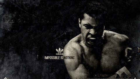 Muhammad ali, боксер, спорт, adidas
