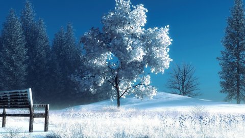 зима, пейзаж, природа, снег, скамейки, деревья