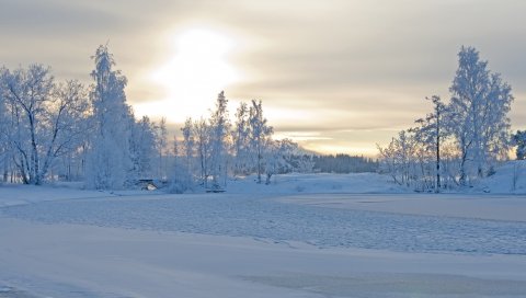 зимой, зимний пейзаж, дерева, снег, мороз, красиво