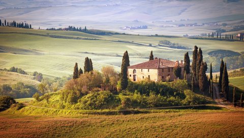 Италия, Тоскана, лето, сельская местность, пейзаж, природа, деревья, небо, зеленое поле