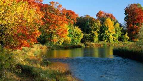 река, течет, деревья, осень