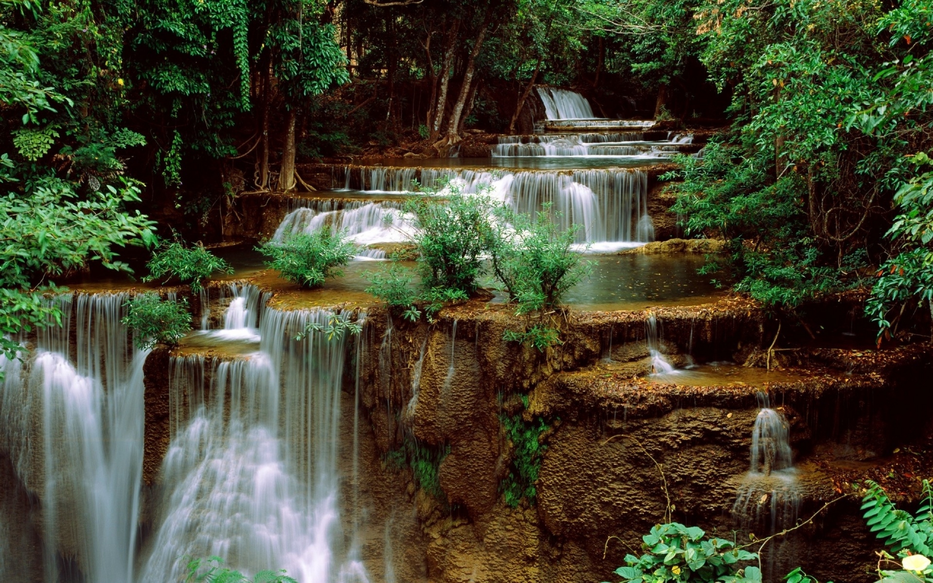 Картинки водопад, камни, трава, растения фото и обои на рабочий стол