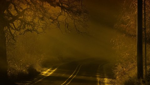 дорога, ночь, туман, маркирование