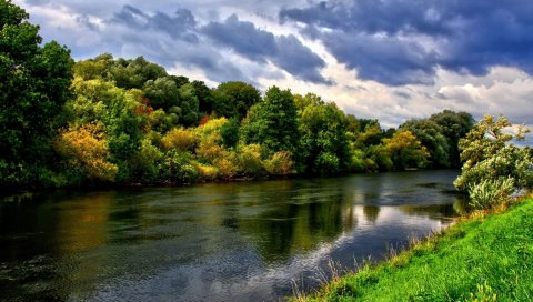 река, деревья, зелень, лето