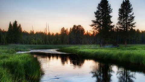 река, трава, вечер, деревья