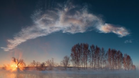 деревья, закат, небо, река, зима