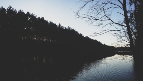 река, берег, деревья, ночь