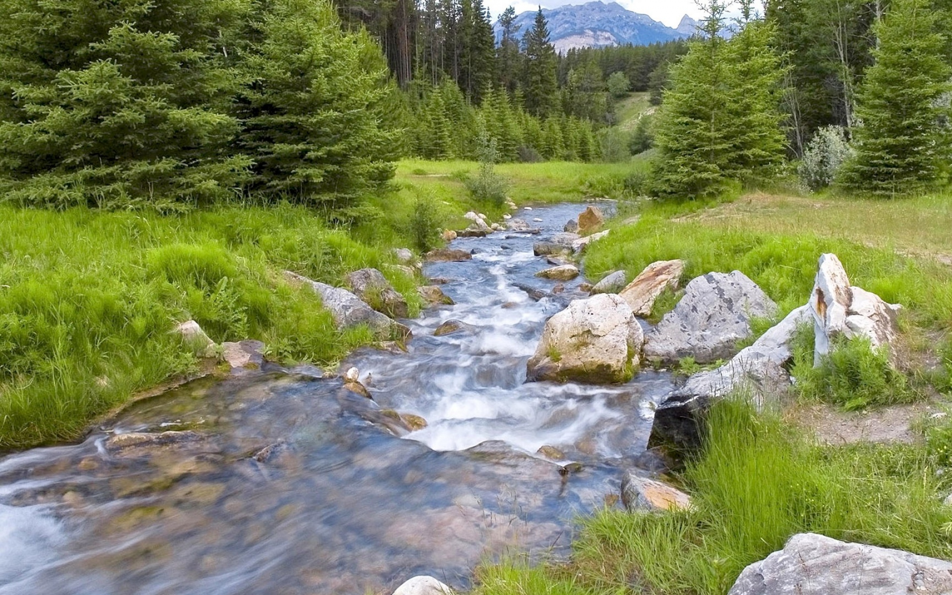 Картинки река, скалы, трава, деревья , фото и обои на рабочий стол