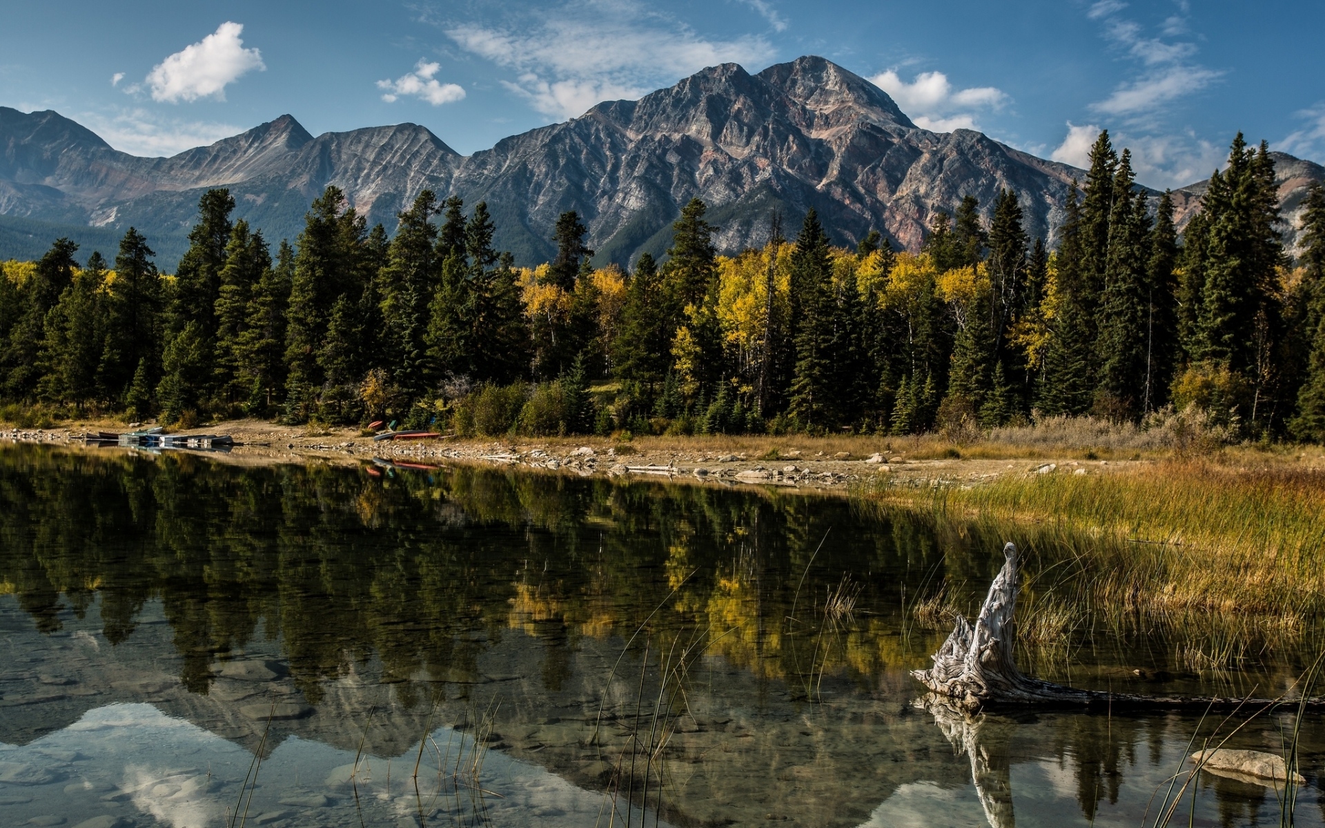 Картинки Альберта, Канада, гора, озеро, дерева , отражение фото и обои на рабочий стол