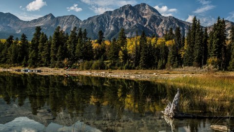 Альберта, Канада, гора, озеро, дерева , отражение