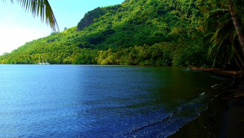 тропики, пляж, лето, море