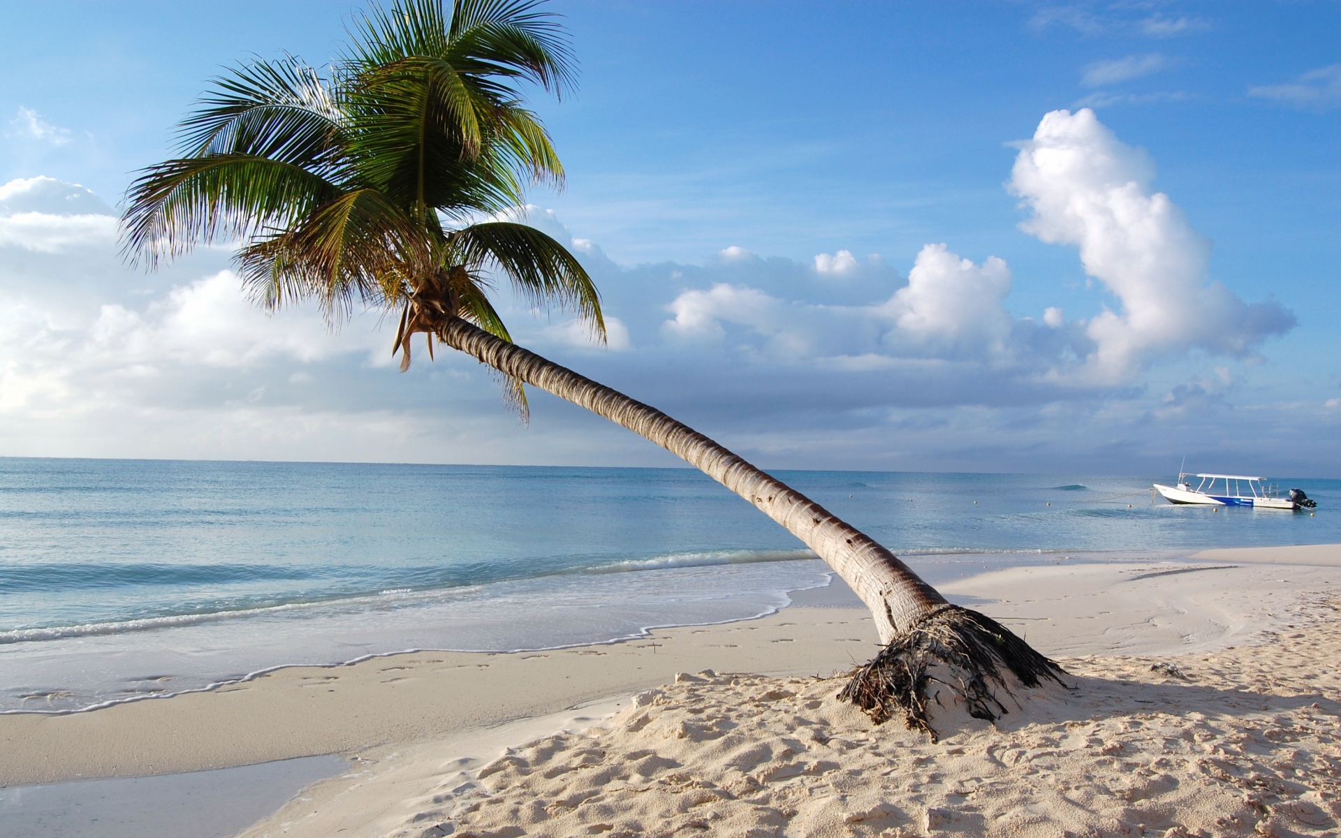 Картинки Maldives, тропические, пляж, пальмы фото и обои на рабочий стол
