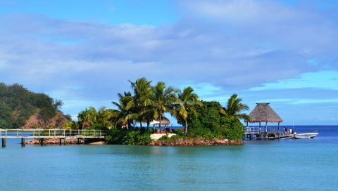 тропики, море, пальмы, лето
