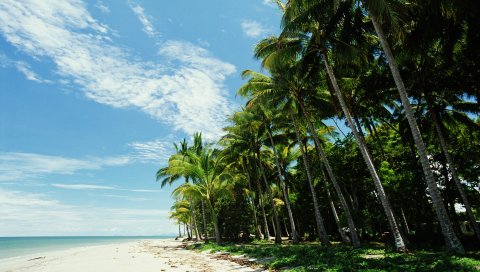 Мальдив, тропический, пляж