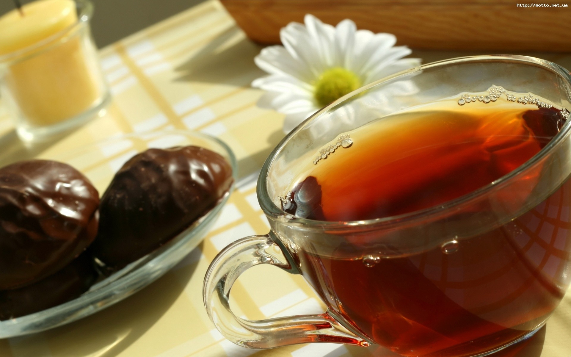 Картинки чашка, чай, пить, стекло, цветок,зефира фото и обои на рабочий стол