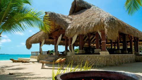 Maldives, тропические, пляж, пальмы, лето