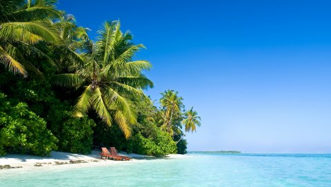 Мальдивы, тропический, пляж, пальмы, лето, тепло