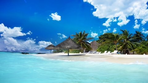Мальдив, песок, тропический, пляж, пальмы