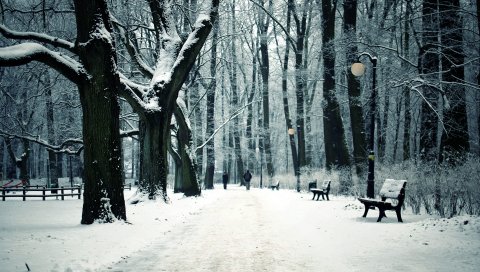 скамейке в парке, зима, город