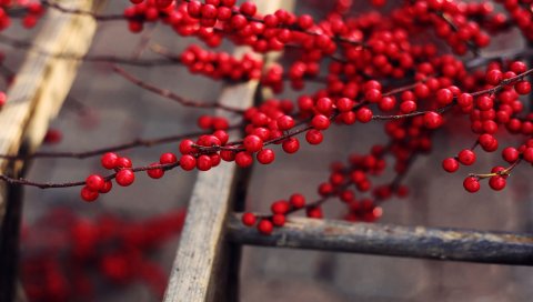 пейзаж, настроение, девушка