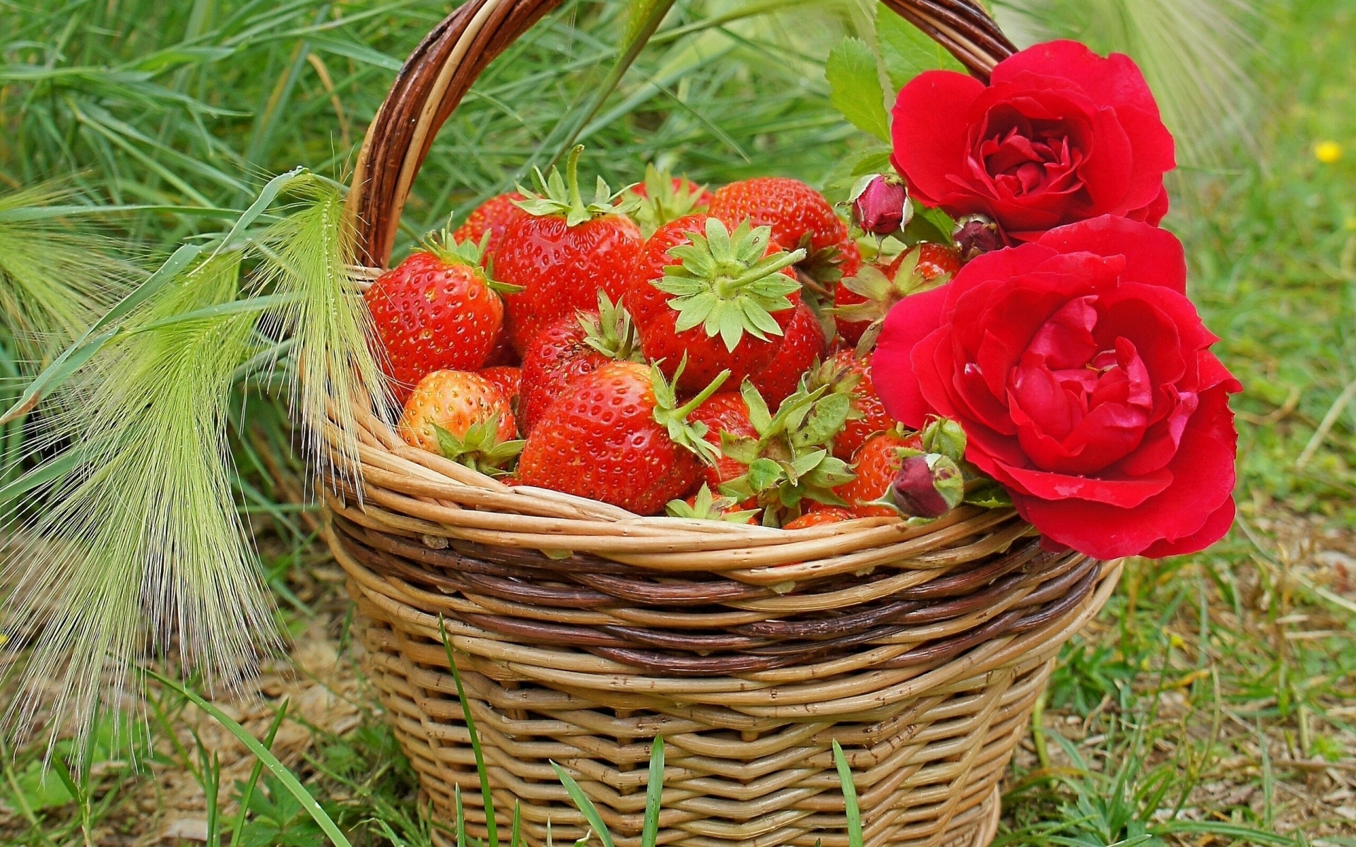 Установить корзину на рабочий стол. Лето ягоды цветы. Корзина с клубникой. Корзина с ягодами. Корзинка с земляникой.