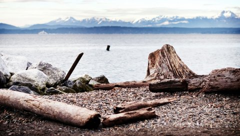 море, камни, палки, лето