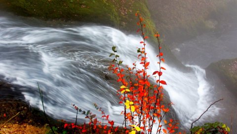 водопад , листы, осень, для