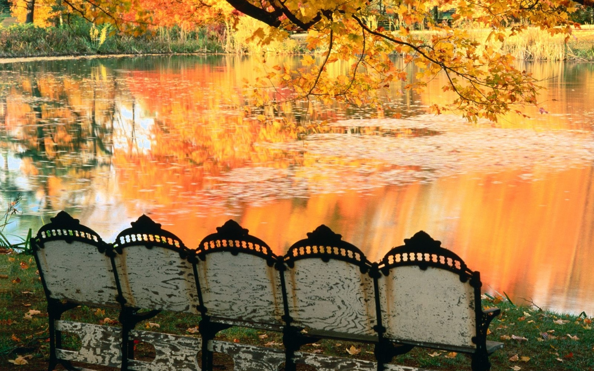 Картинки пруд, скамейки, осень, отражение фото и обои на рабочий стол