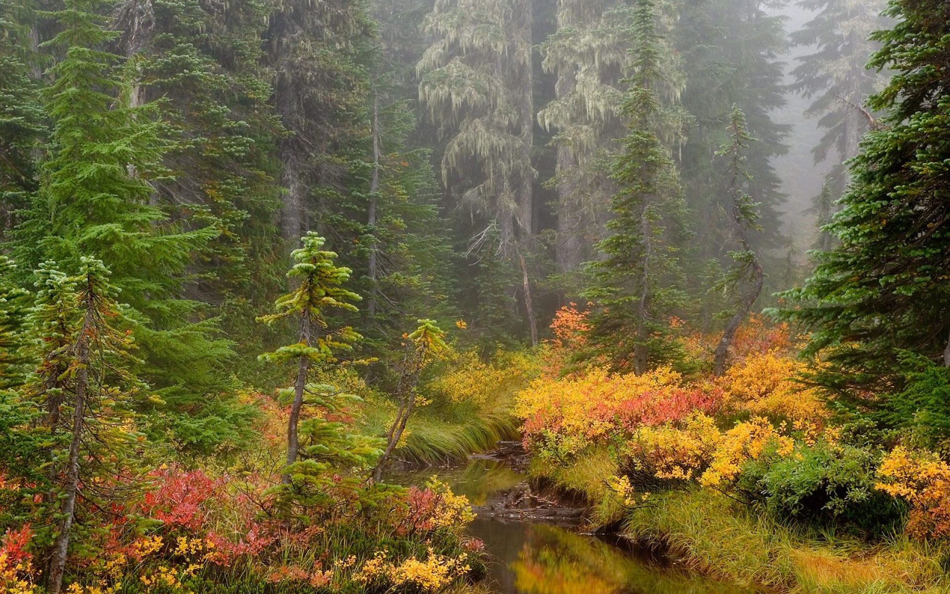 Картинки река, трава, осень фото и обои на рабочий стол