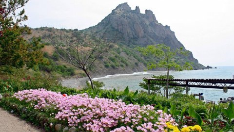 горы, море, цветы