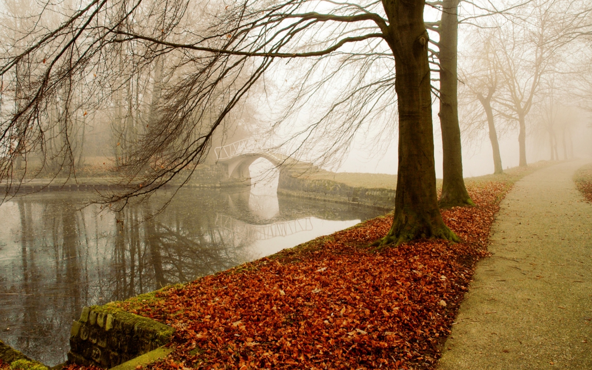 Картинки парк, осень, листва, деревья, туман, мост фото и обои на рабочий стол