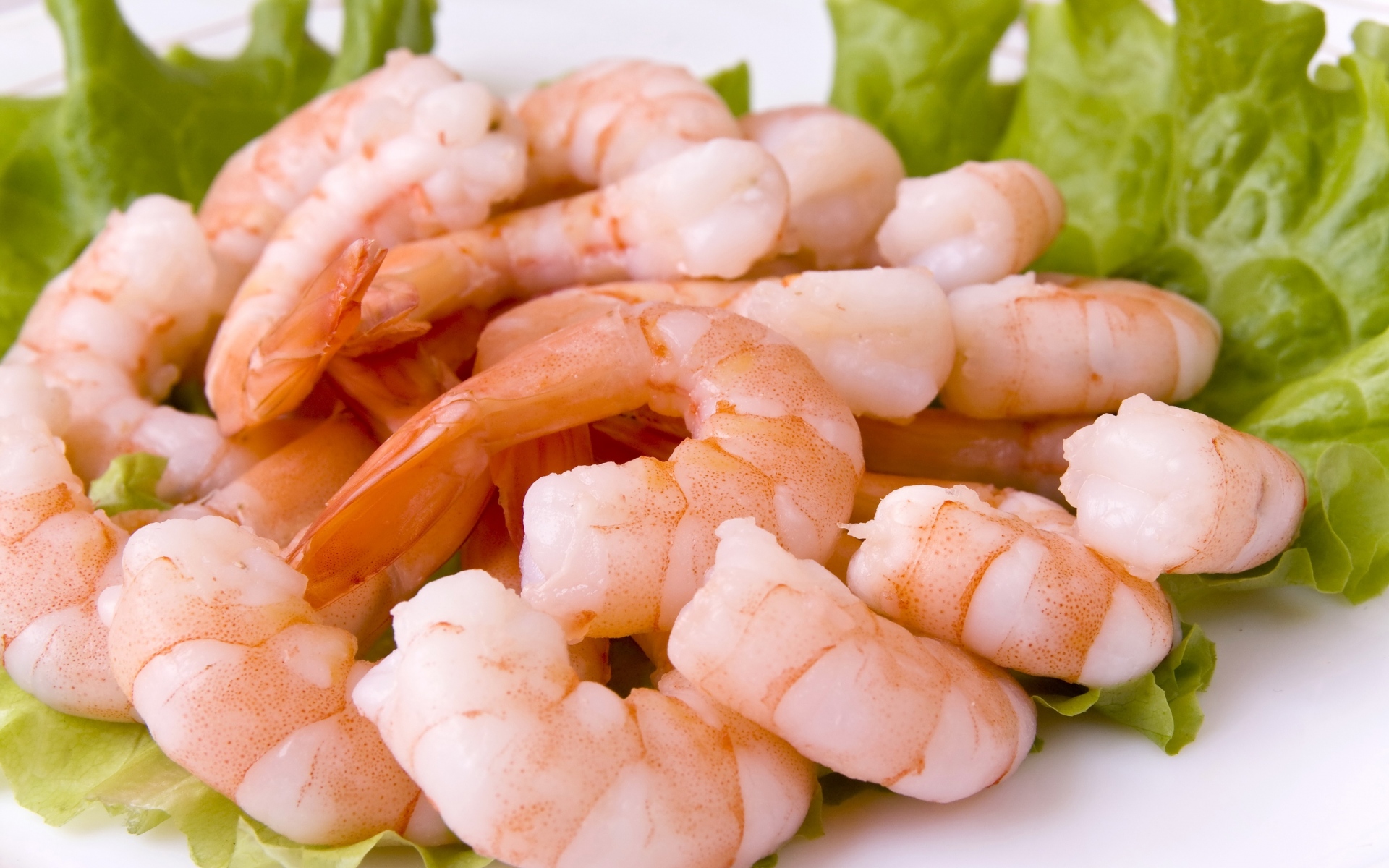 Картинки креветки, листья, трава, продукты питания фото и обои на рабочий стол