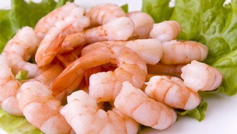 креветки, листья, трава, продукты питания