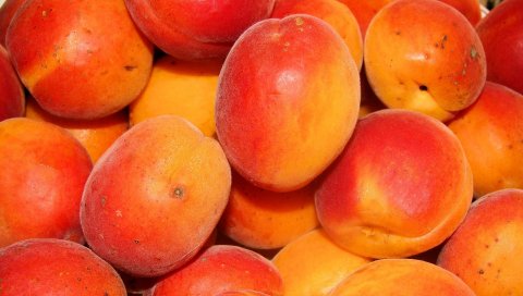 персики, абрикосы, спелый, вкусный, фрукты