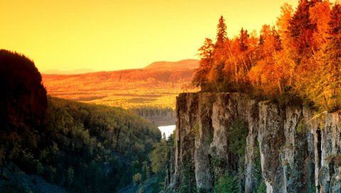 перерыв, осенью,деревья, природа
