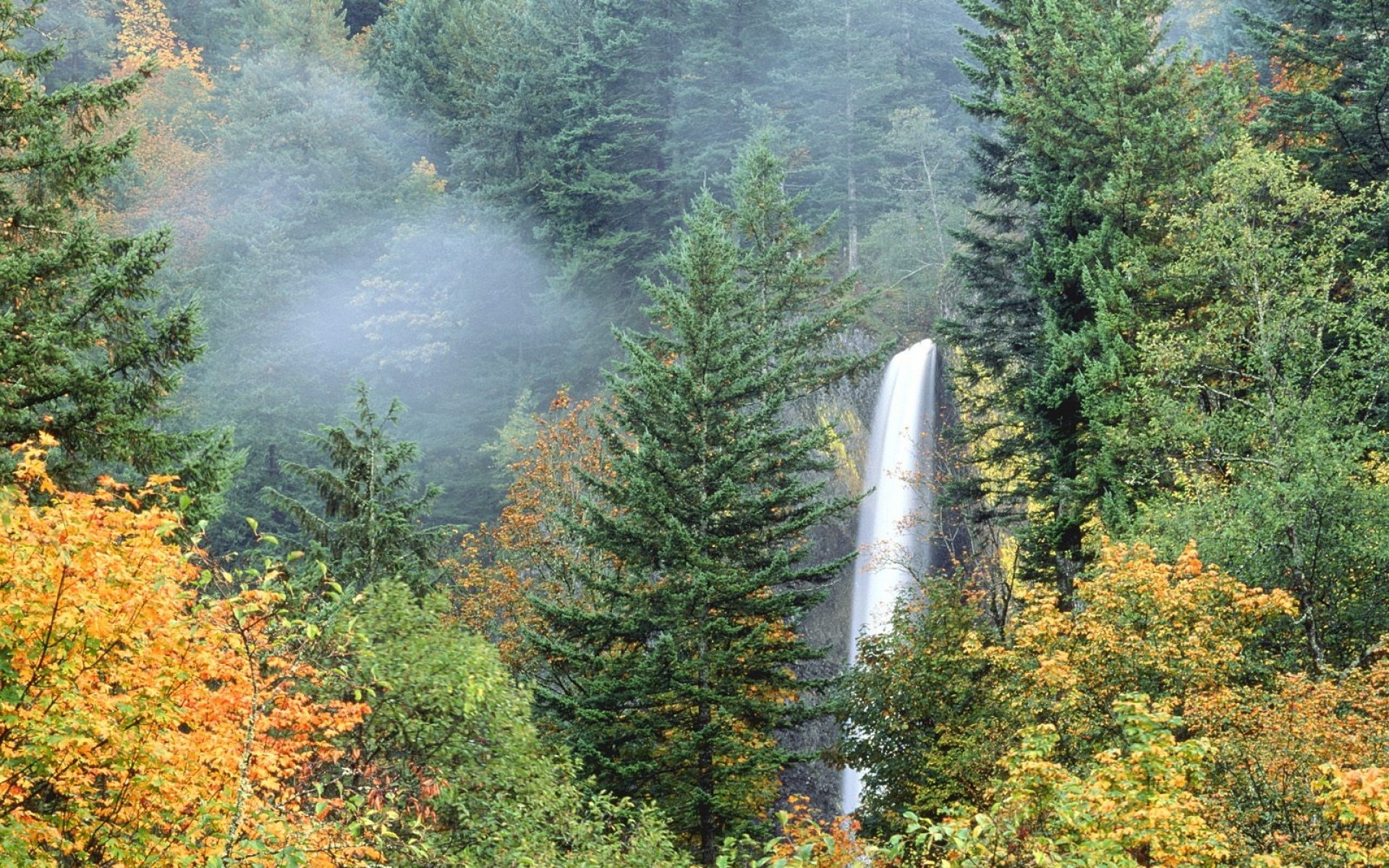 Картинки водопады, деревья, зелень, осень фото и обои на рабочий стол