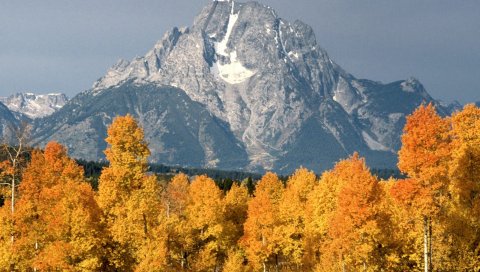 горы, деревья, осень,расстояние