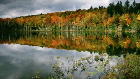 река, деревья, осень, природа