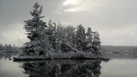 деревья, река, небо