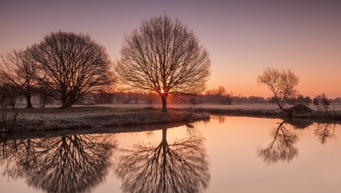 река, деревья, свет , рассвет