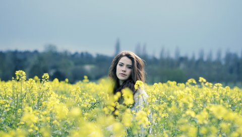 брюнетка, девушка, поле, лицо, небо