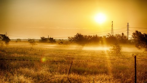 рассвет, трава, небо, лето, свет