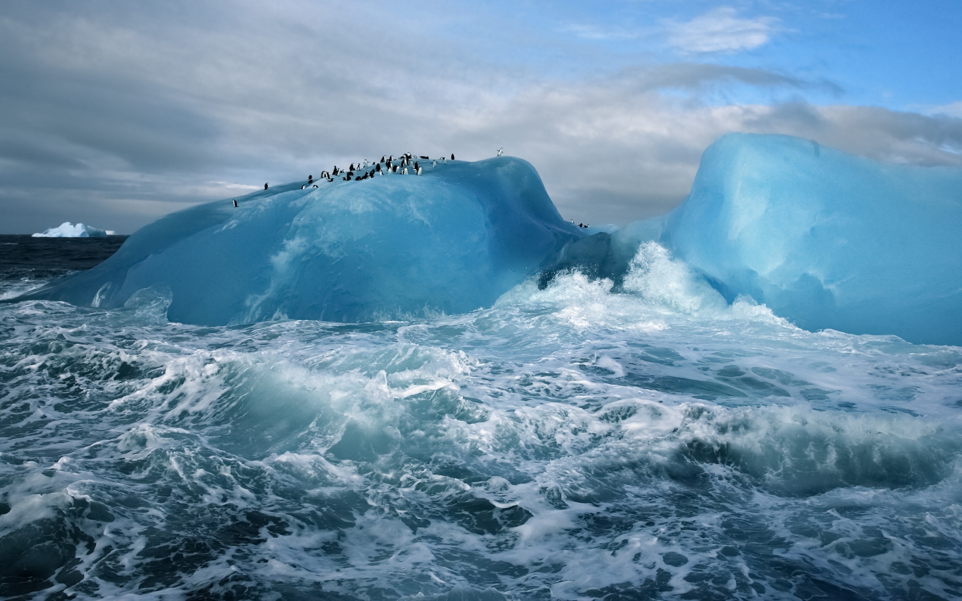 Картинки Антарктида, пингвины, лед,океан фото и обои на рабочий стол