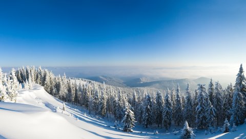 горы, снег, деревья, склон