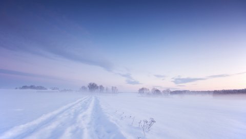 снег, зима, поле