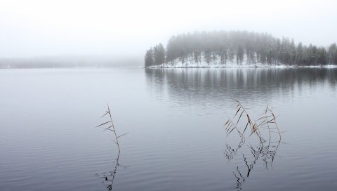 озеро, река, туман, небо
