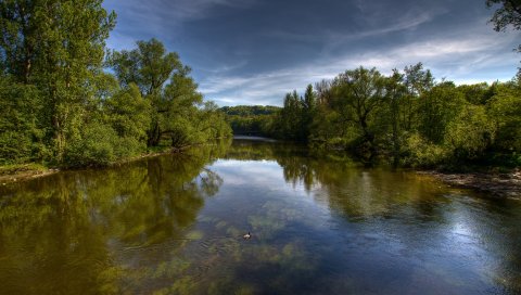 Река, деревья, природа, пейзаж