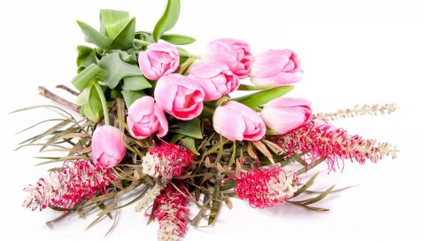 Тюльпаны, цветы, украшение, букет