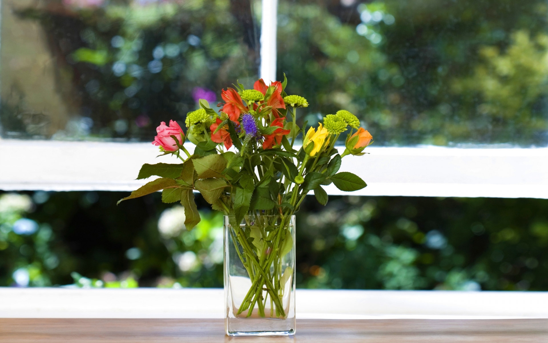 Картинки Травы, цветы, букет, подоконник, окно, ваза фото и обои на рабочий стол