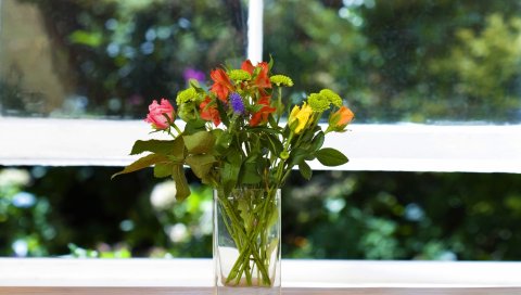 Травы, цветы, букет, подоконник, окно, ваза